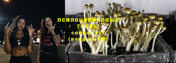 не бодяженный Арсеньев