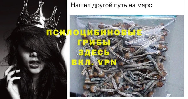 не бодяженный Арсеньев