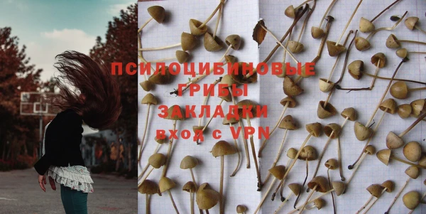 не бодяженный Арсеньев